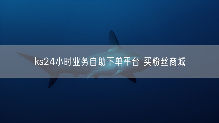 ks24小时业务自助下单平台 买粉丝商城