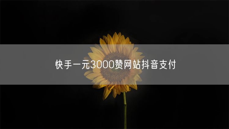 快手一元3000赞网站抖音支付