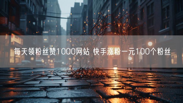 每天领粉丝赞1000网站 快手涨粉一元100个粉丝