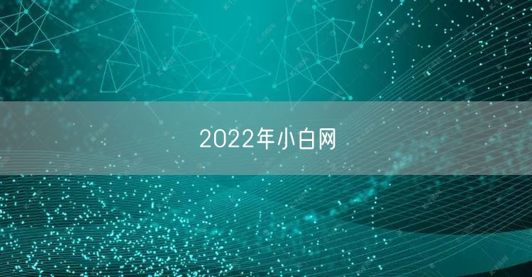 2022年小白网