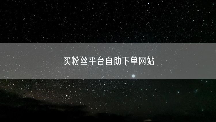 买粉丝平台自助下单网站