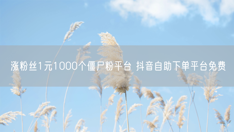 涨粉丝1元1000个僵尸粉平台 抖音自助下单平台免费