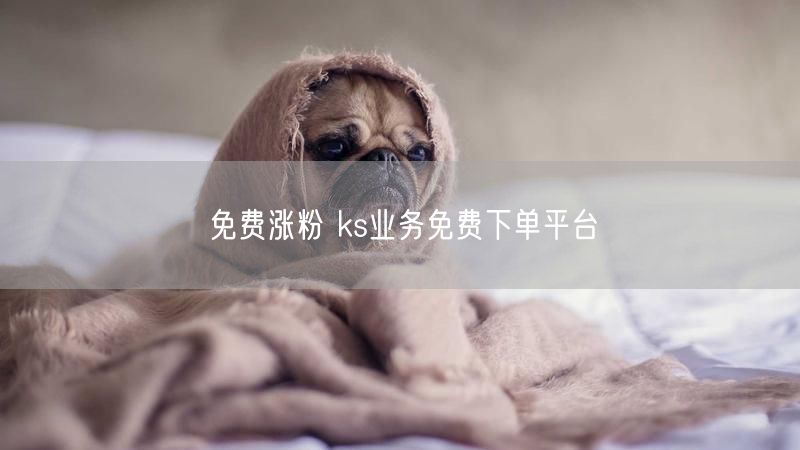 免费涨粉 ks业务免费下单平台