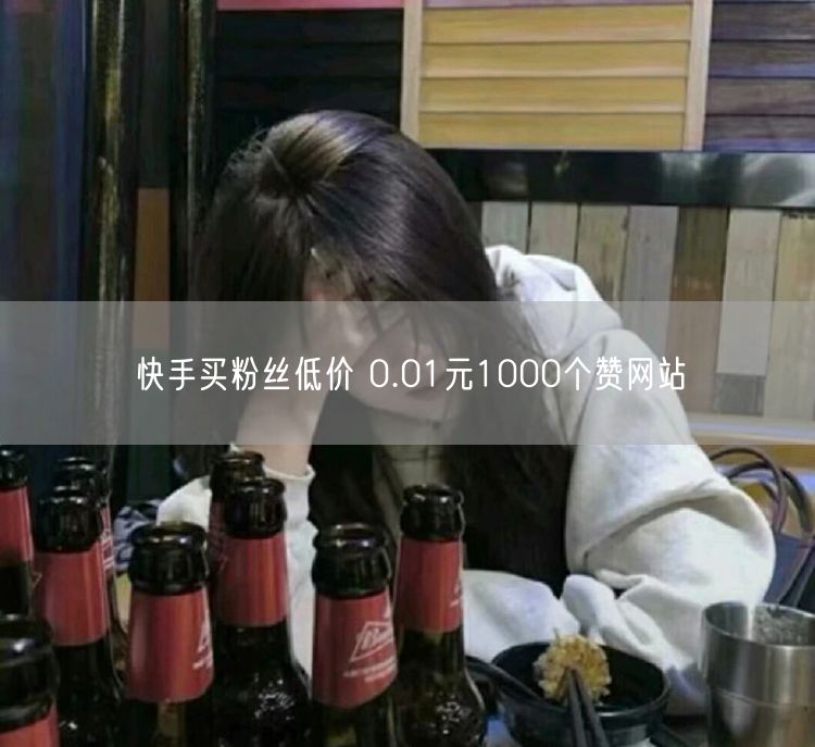 快手买粉丝低价 0.01元1000个赞网站