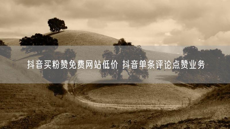 抖音买粉赞免费网站低价 抖音单条评论点赞业务