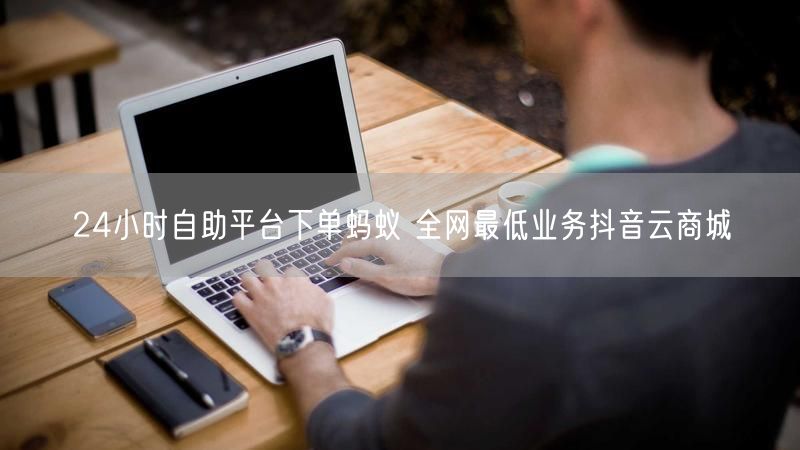 24小时自助平台下单蚂蚁 全网最低业务抖音云商城