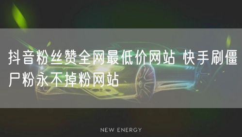 抖音粉丝赞全网最低价网站 快手刷僵尸粉永不掉粉网站