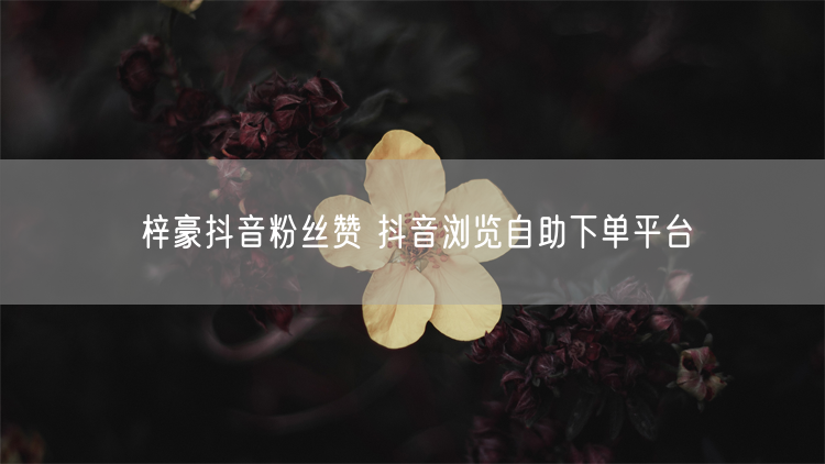 梓豪抖音粉丝赞 抖音浏览自助下单平台