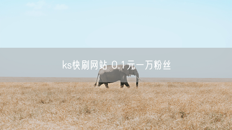 ks快刷网站 0.1元一万粉丝