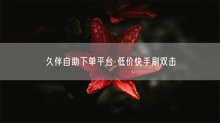 久伴自助下单平台 低价快手刷双击