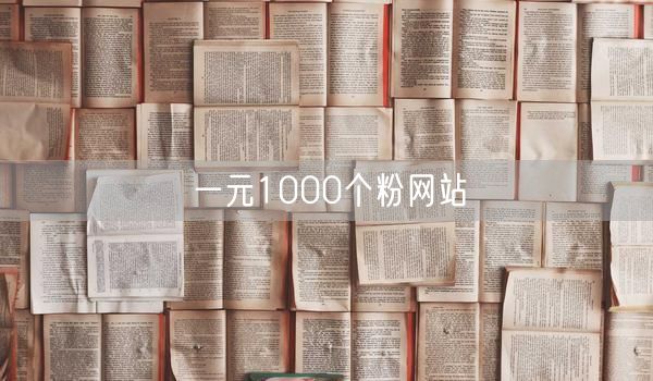 一元1000个粉网站