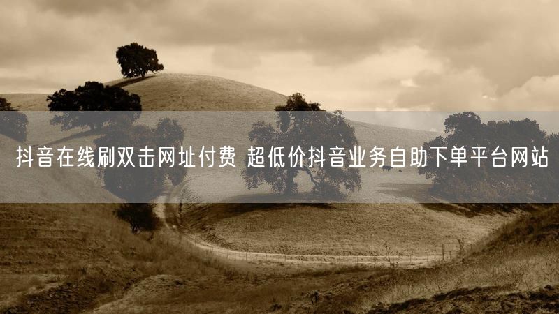 抖音在线刷双击网址付费 超低价抖音业务自助下单平台网站