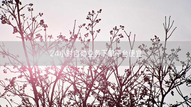 24小时自助业务下单平台便宜