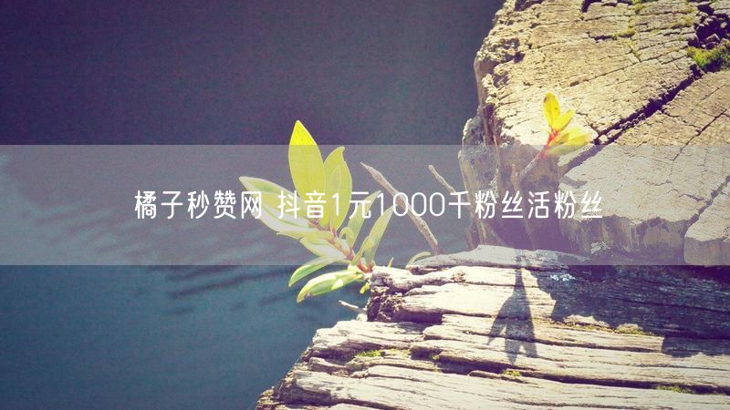 橘子秒赞网 抖音1元1000千粉丝活粉丝