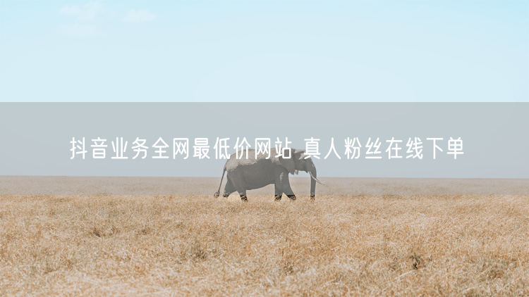 抖音业务全网最低价网站 真人粉丝在线下单