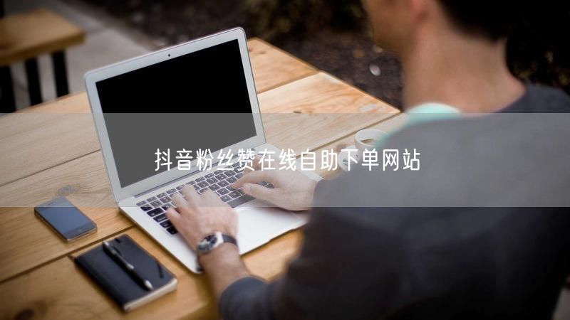 抖音粉丝赞在线自助下单网站