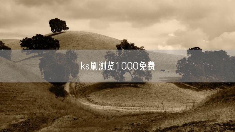 ks刷浏览1000免费