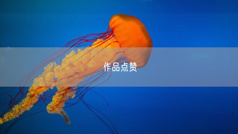 作品点赞