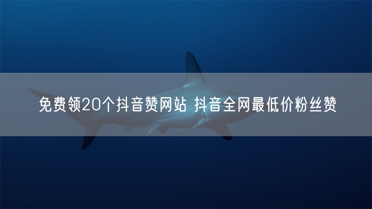 免费领20个抖音赞网站 抖音全网最低价粉丝赞