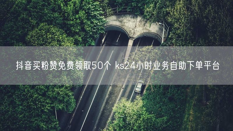 抖音买粉赞免费领取50个 ks24小时业务自助下单平台