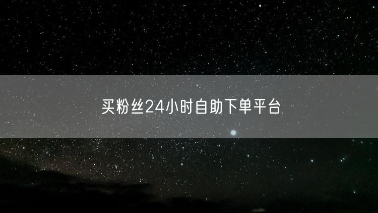 买粉丝24小时自助下单平台
