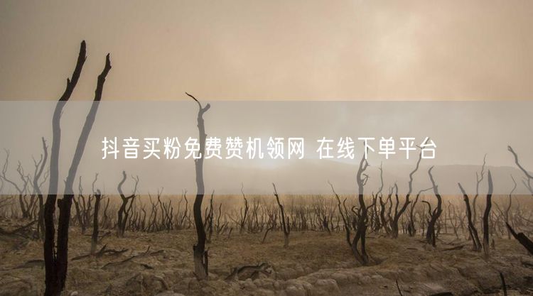 抖音买粉免费赞机领网 在线下单平台