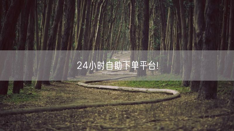 24小时自助下单平台!