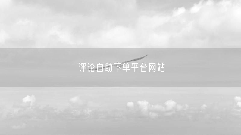 评论自助下单平台网站