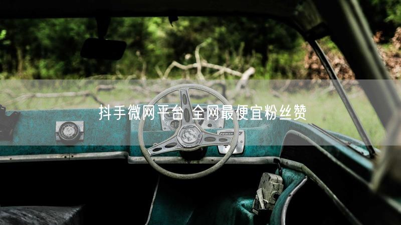 抖手微网平台 全网最便宜粉丝赞