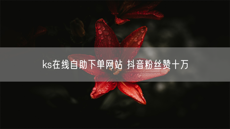 ks在线自助下单网站 抖音粉丝赞十万