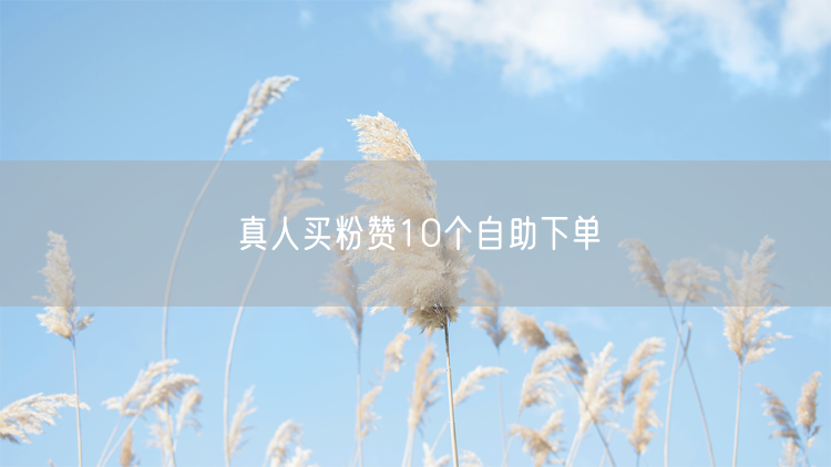 真人买粉赞10个自助下单