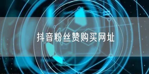 抖音粉丝赞购买网址