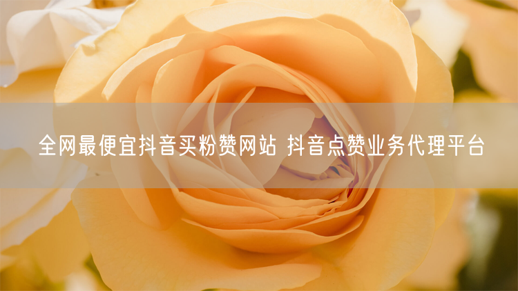 全网最便宜抖音买粉赞网站 抖音点赞业务代理平台