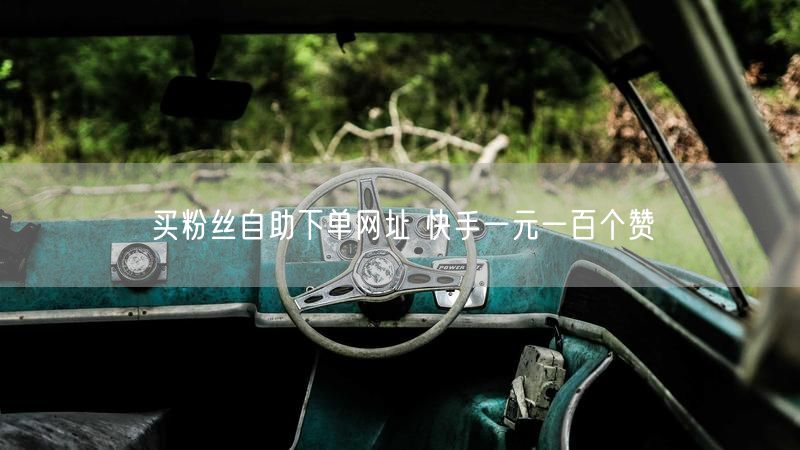 买粉丝自助下单网址 快手一元一百个赞