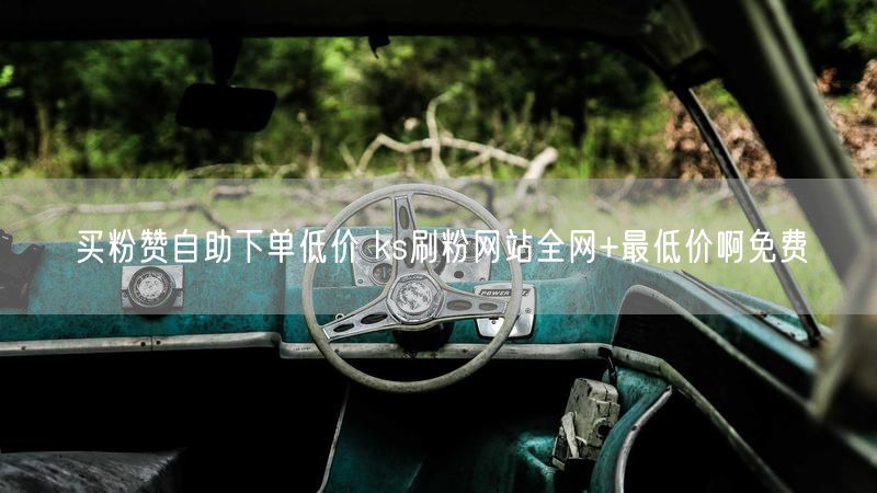 买粉赞自助下单低价 ks刷粉网站全网+最低价啊免费