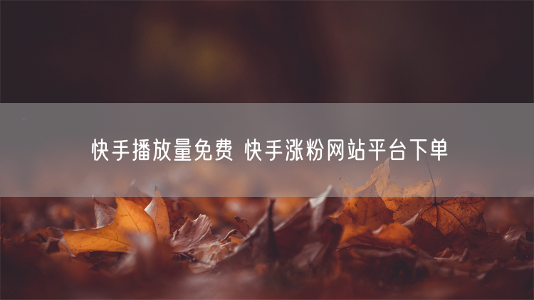 快手播放量免费 快手涨粉网站平台下单
