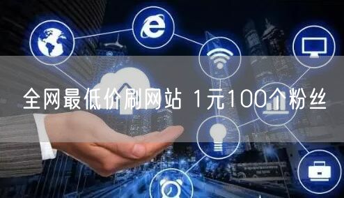 全网最低价刷网站 1元100个粉丝