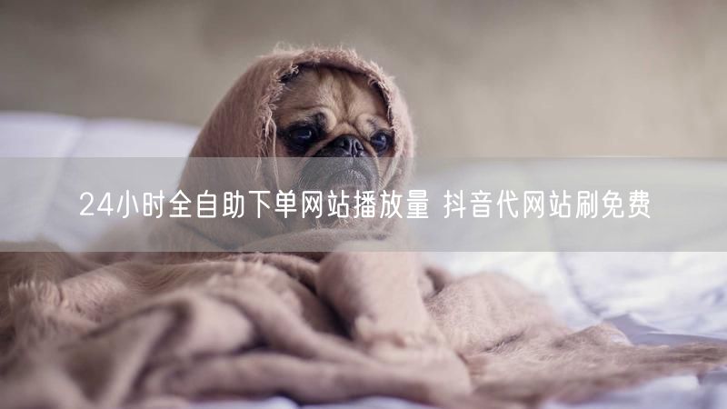 24小时全自助下单网站播放量 抖音代网站刷免费