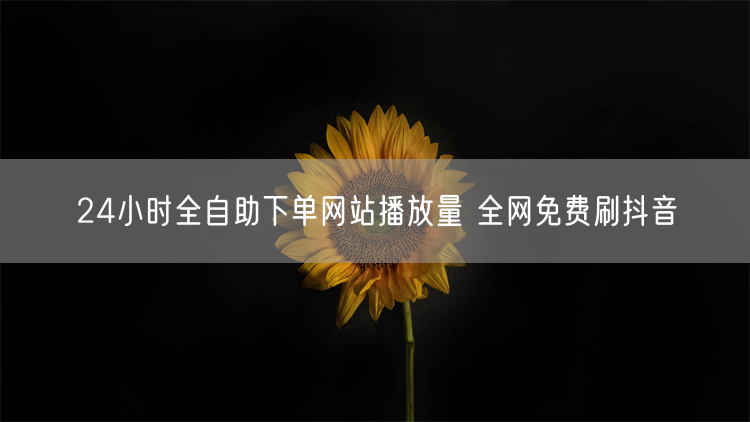 24小时全自助下单网站播放量 全网免费刷抖音