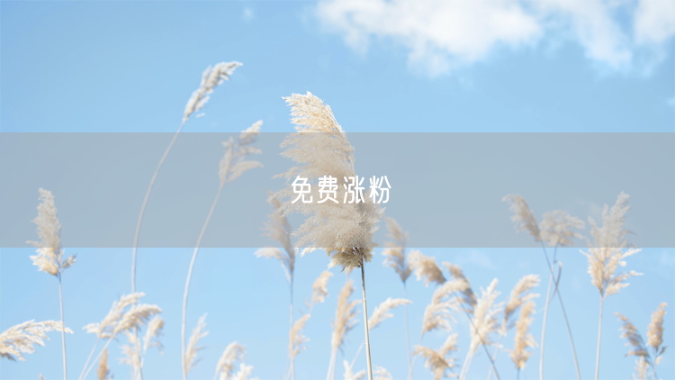 免费涨粉