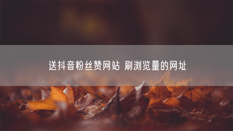 送抖音粉丝赞网站 刷浏览量的网址
