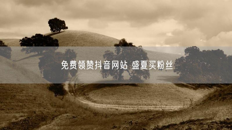 免费领赞抖音网站 盛夏买粉丝