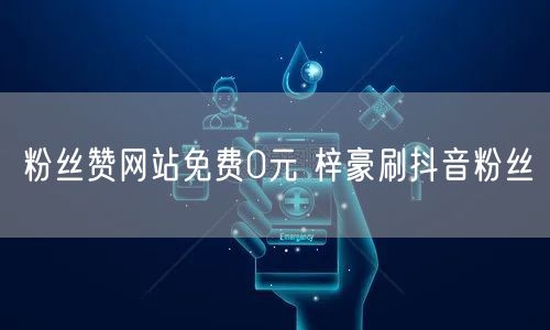 粉丝赞网站免费0元 梓豪刷抖音粉丝