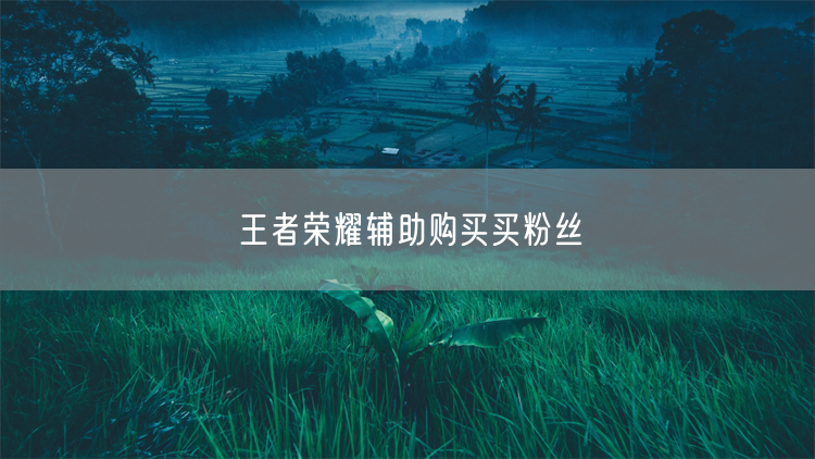 王者荣耀辅助购买买粉丝
