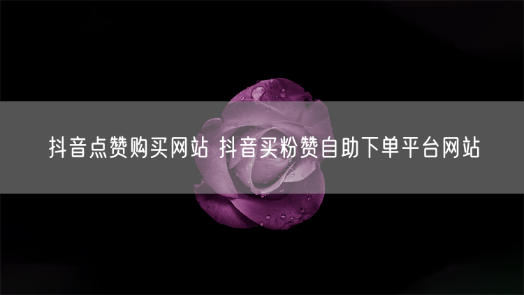 抖音点赞购买网站 抖音买粉赞自助下单平台网站