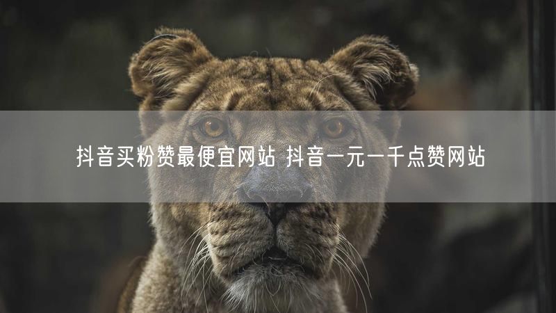 抖音买粉赞最便宜网站 抖音一元一千点赞网站