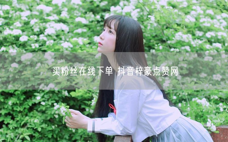 买粉丝在线下单 抖音梓豪点赞网