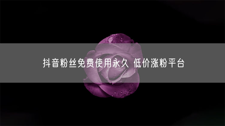 抖音粉丝免费使用永久 低价涨粉平台