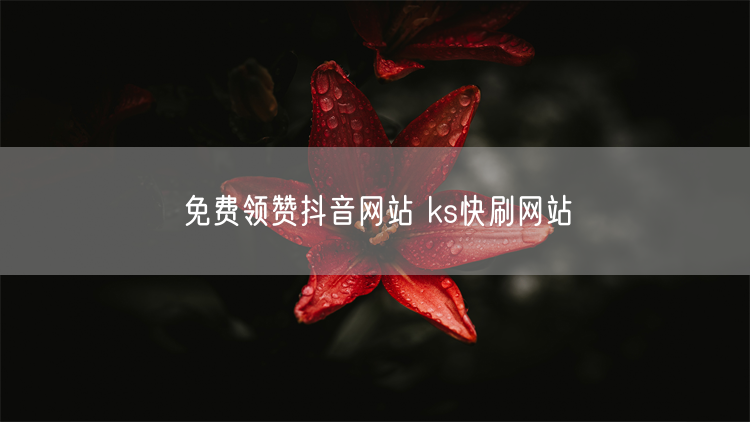 免费领赞抖音网站 ks快刷网站