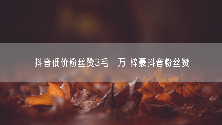 抖音低价粉丝赞3毛一万 梓豪抖音粉丝赞